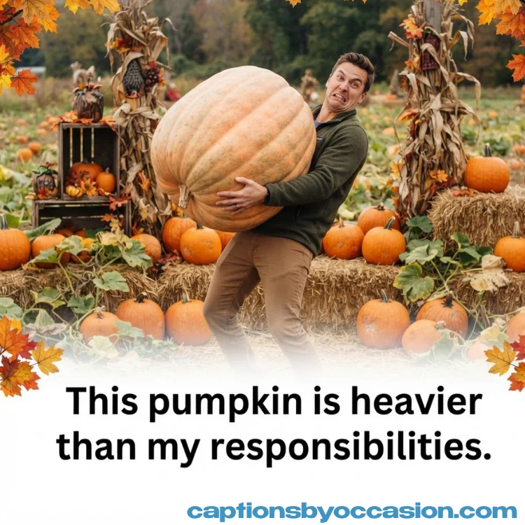 Funny Pumpkin Patch Captions