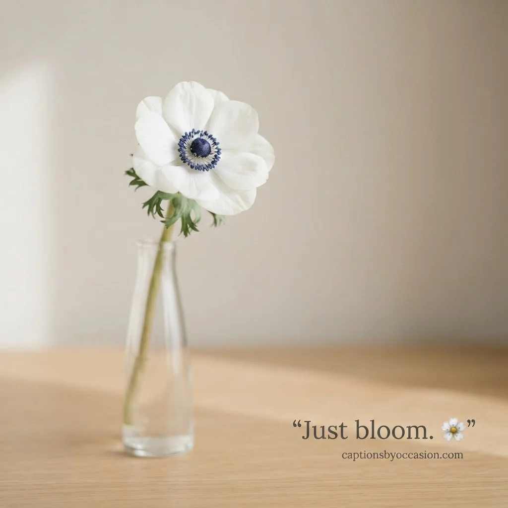 Short Flower Captions