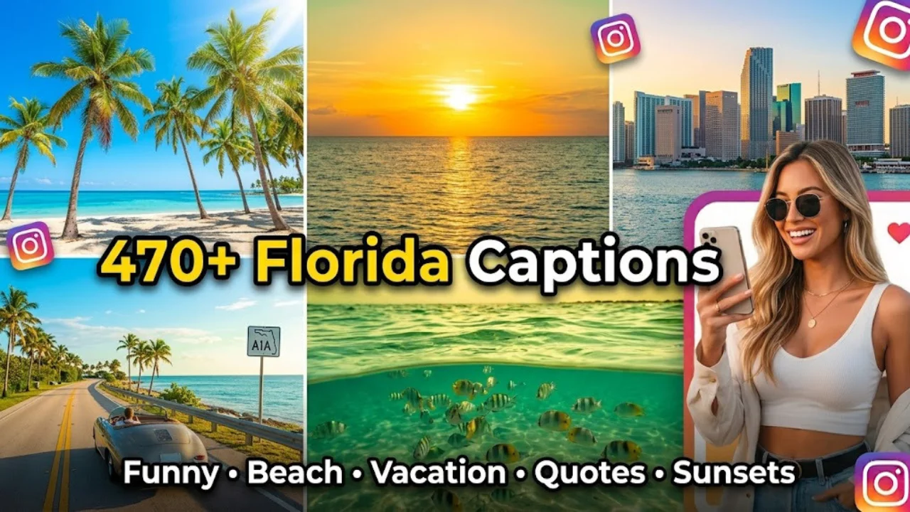470+ Florida Captions for Instagram: Funny, Beach, Vacation & Sunshine Quotes